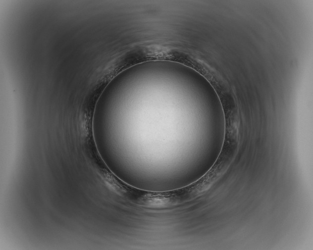 X0000116610658200912111135
