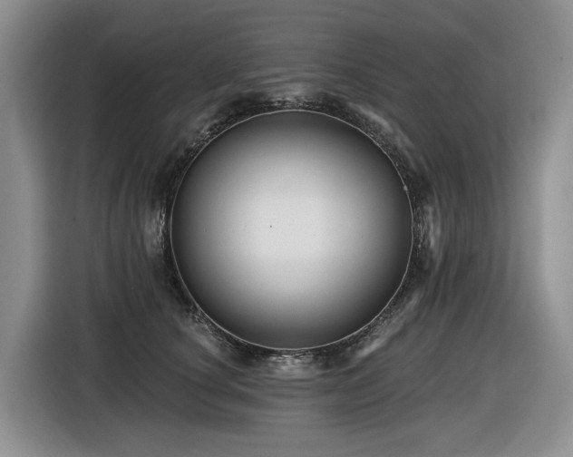 X0000116610660200912111135