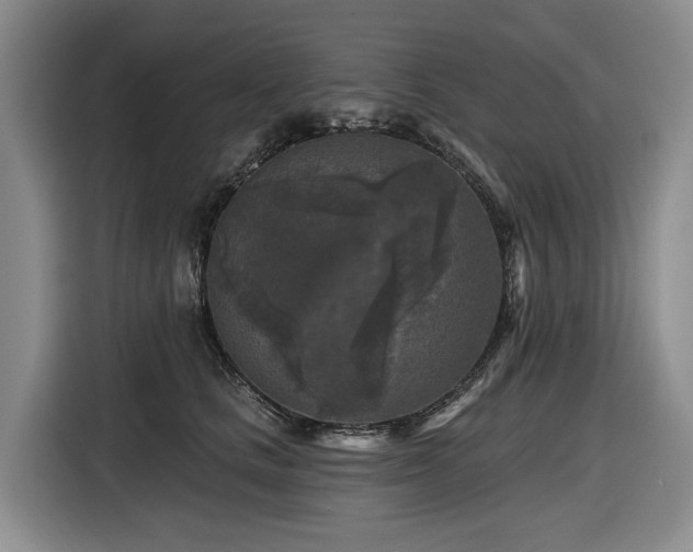 X0000116610661200912111135