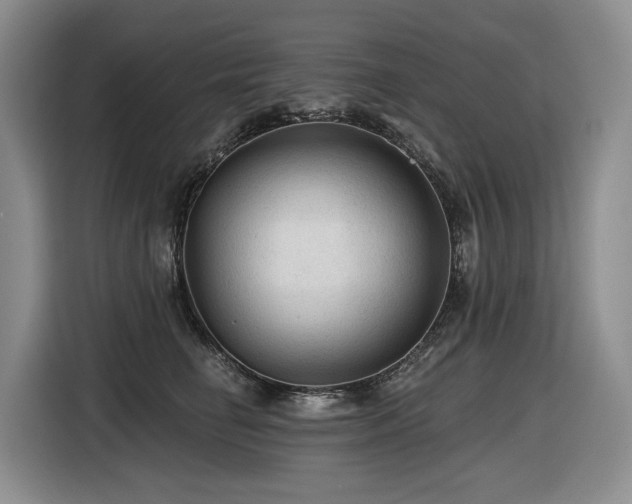 X0000116610662200912111135