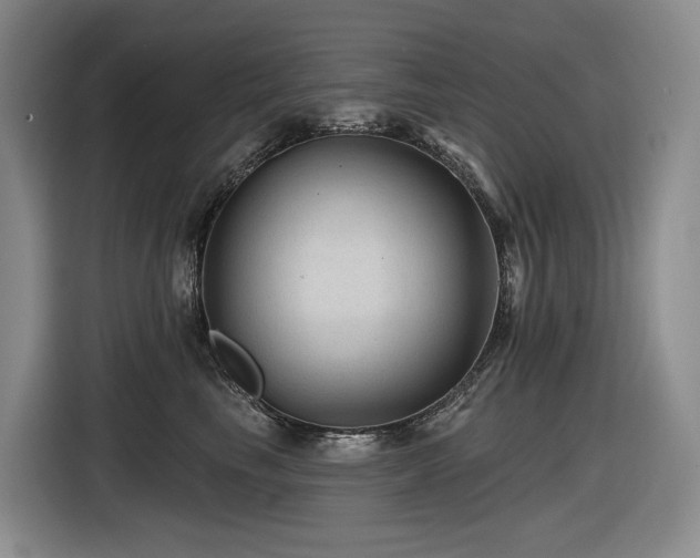 X0000116610665200912111135