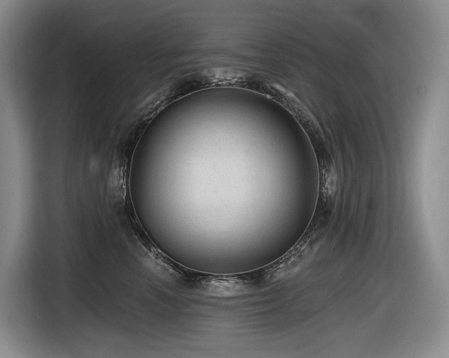 X0000116610666200912111135