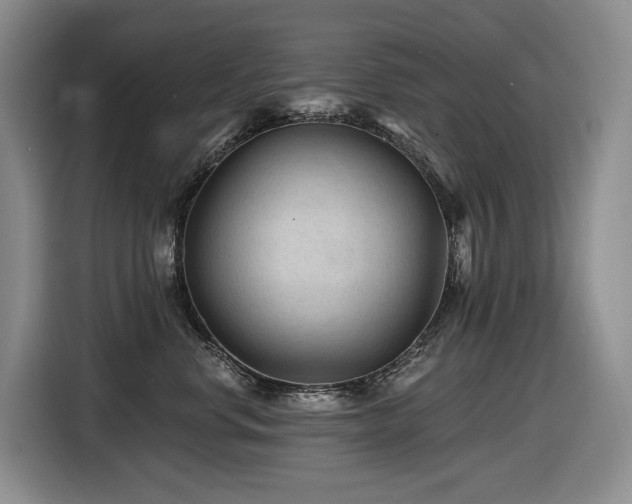 X0000116610668200912111135