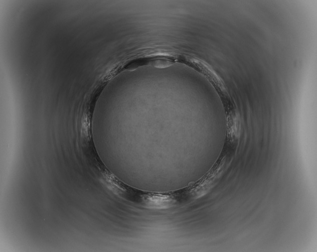 X0000116610669200912111135