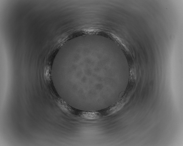 X0000116610671200912111135