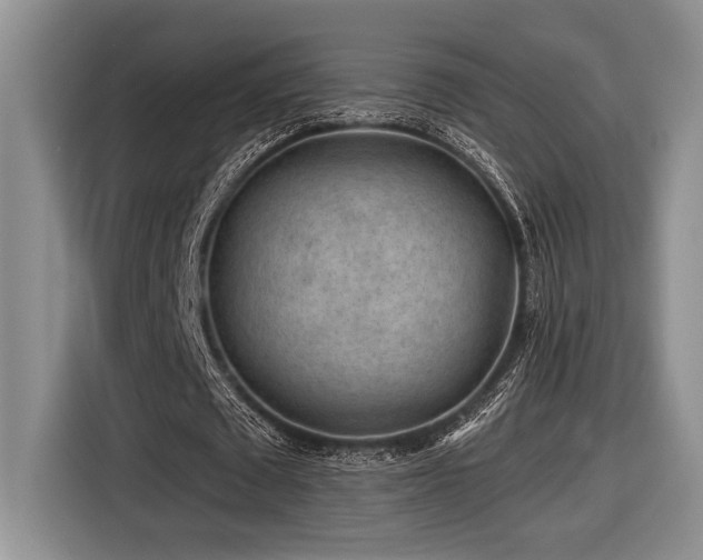 X0000116610673200912111134