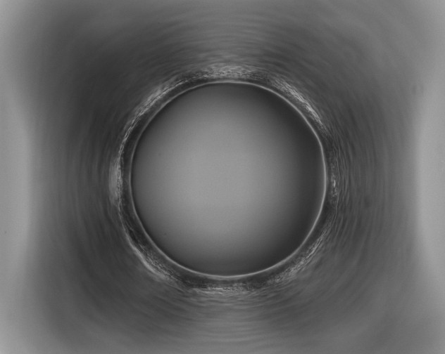 X0000116610674200912111134