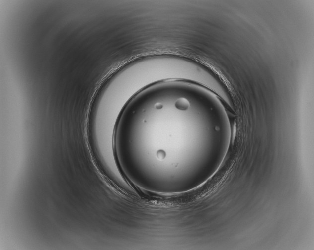 X0000116610677200912111134