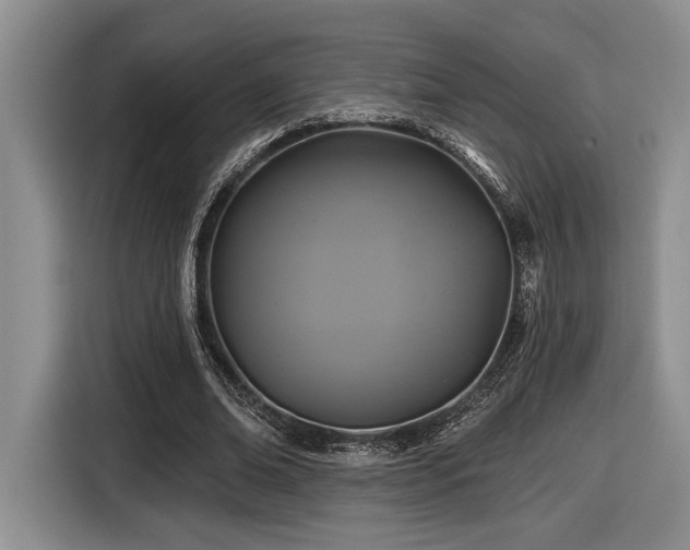 X0000116610678200912111134