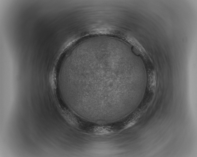 X0000116610680200912111134