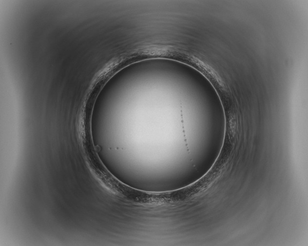 X0000116610682200912111134