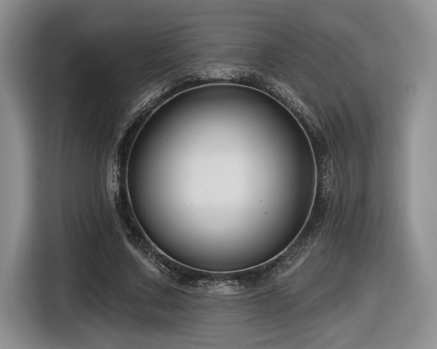 X0000116610683200912111134