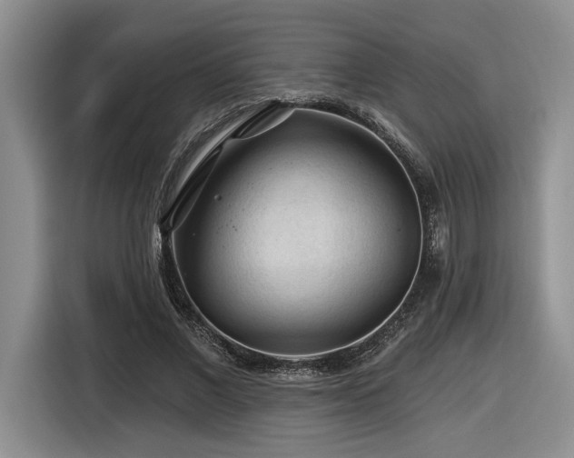 X0000116610685200912111134