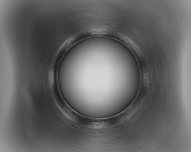 X0000116610686200912111134