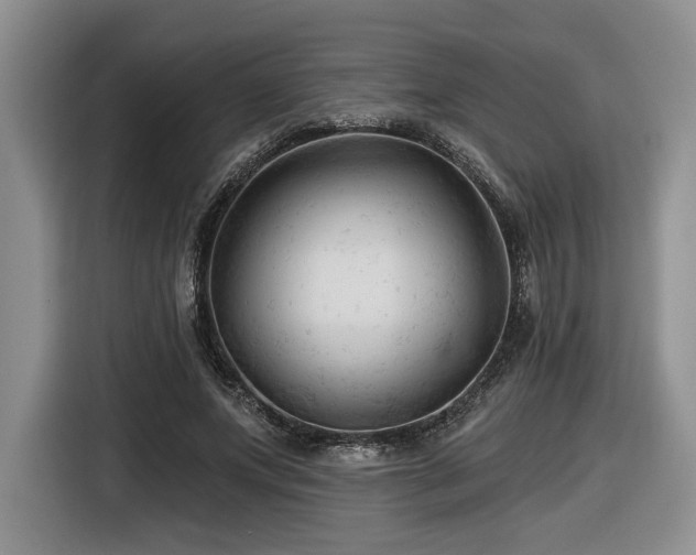 X0000116610687200912111134