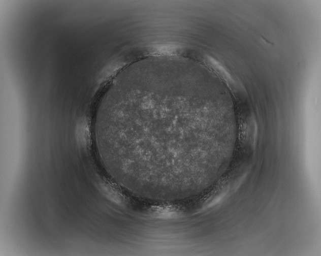 X0000116610688200912111134