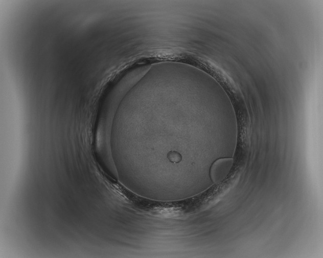 X0000116610689200912111134