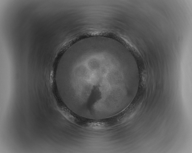 X0000116610691200912111134