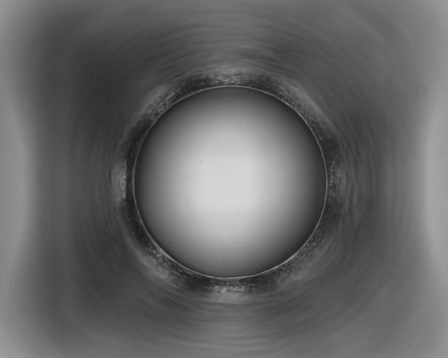 X0000116610694200912111134