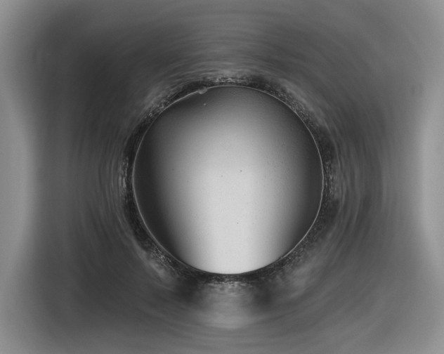 X0000116610695200912111134