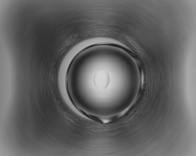 X0000116610696200912111134