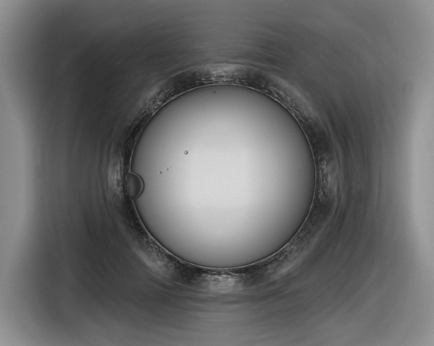X0000116610698200912111134