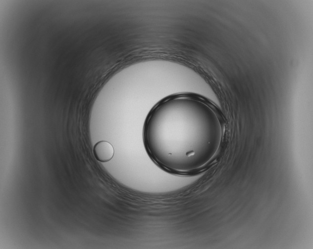 X0000116610700200912111134