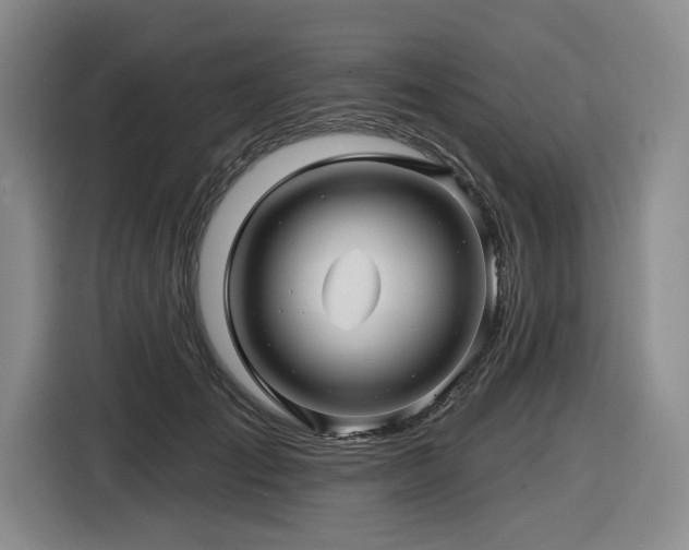 X0000116610701200912111134