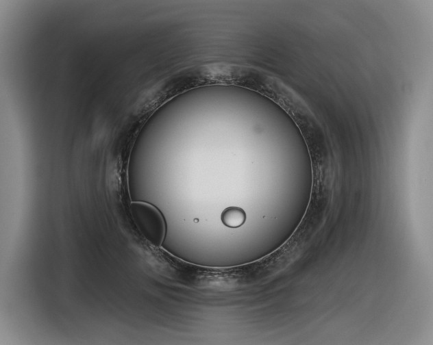 X0000116610702200912111134