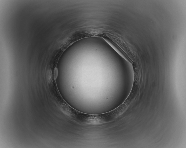 X0000116610704200912111134