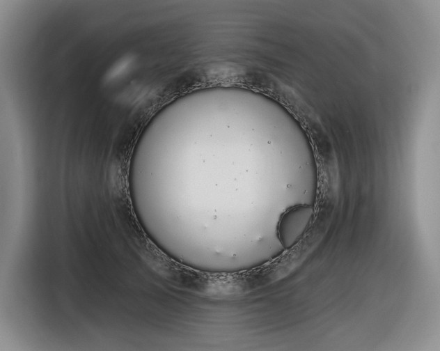X0000116610705200912111134