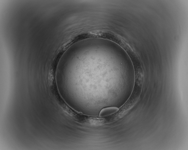 X0000116610707200912111134