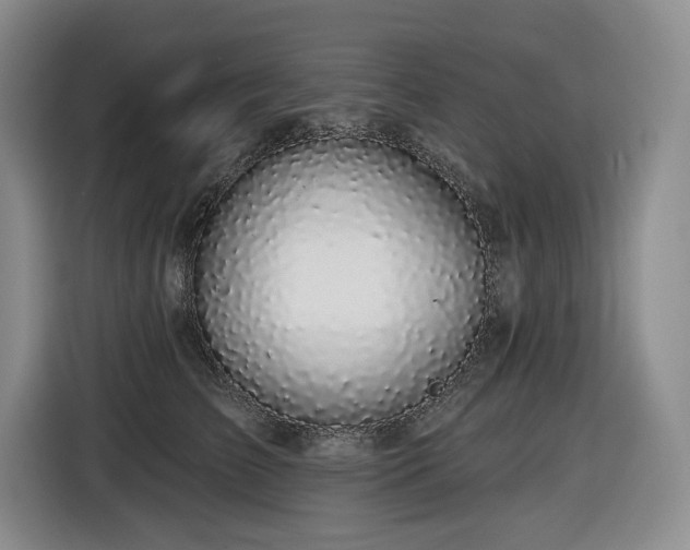 X0000116610709200912111134