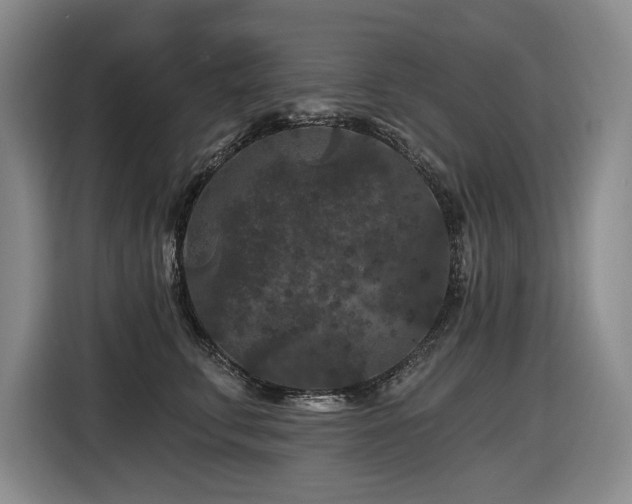 X0000116610711200912111134
