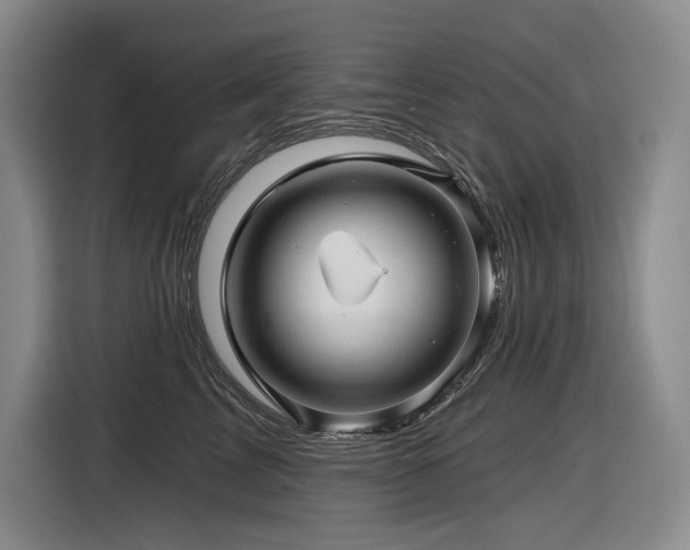 X0000116610713200912111134