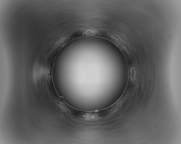 X0000116610714200912111134