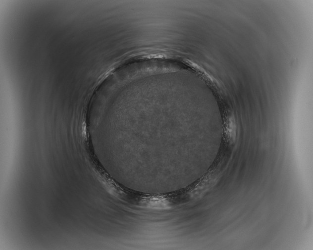 X0000116610715200912111134