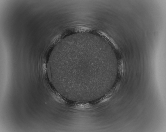 X0000116610716200912111134