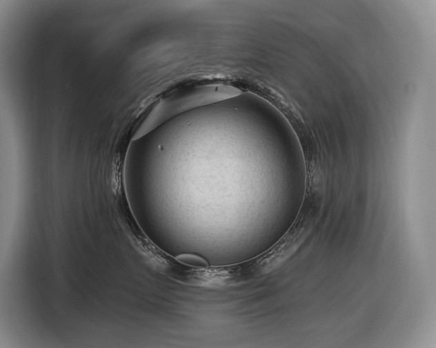 X0000116610719200912111134