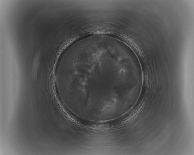 X0000116610721200912111133