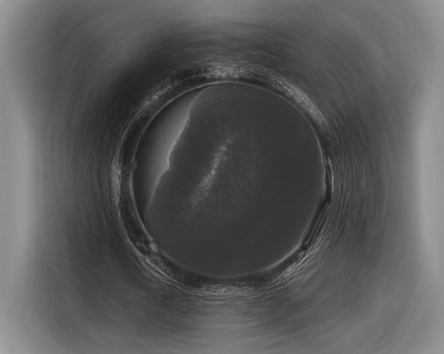 X0000116610722200912111133