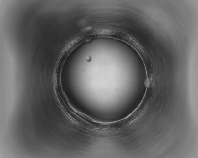 X0000116610725200912111133