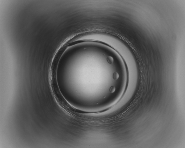 X0000116610726200912111133