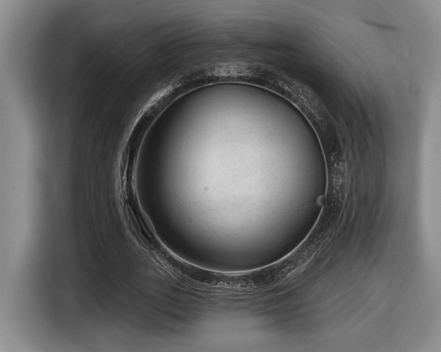 X0000116610727200912111133