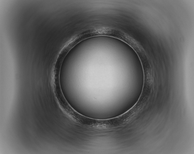 X0000116610730200912111133