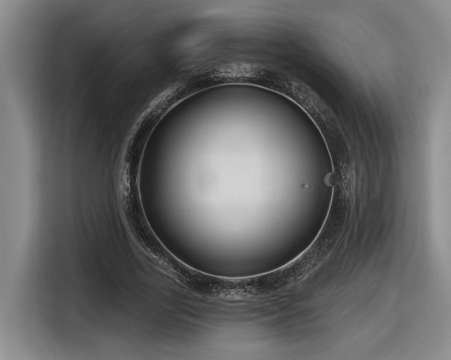 X0000116610731200912111133