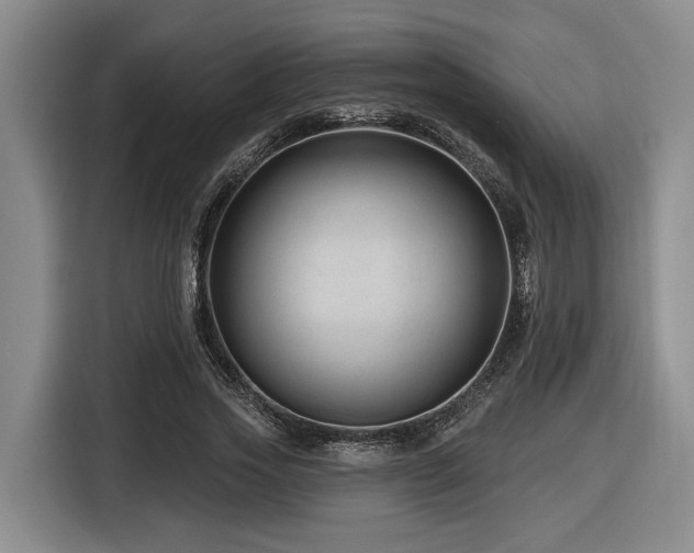 X0000116610733200912111133
