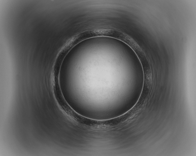 X0000116610734200912111133