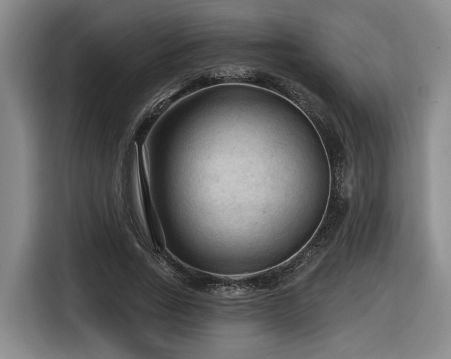 X0000116610735200912111133