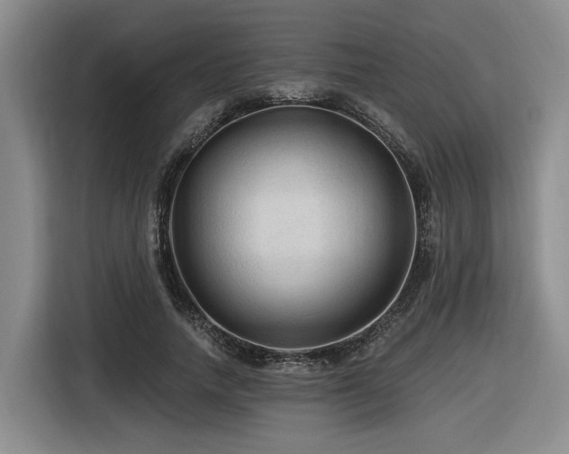 X0000116610738200912111133